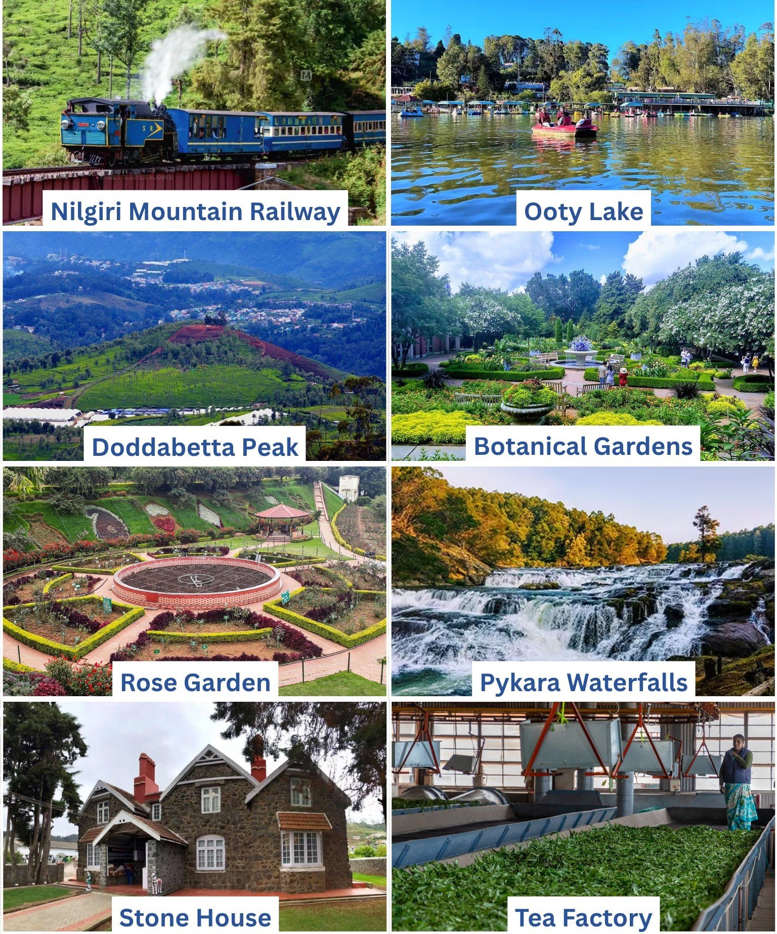 Ooty Chika Tours Team