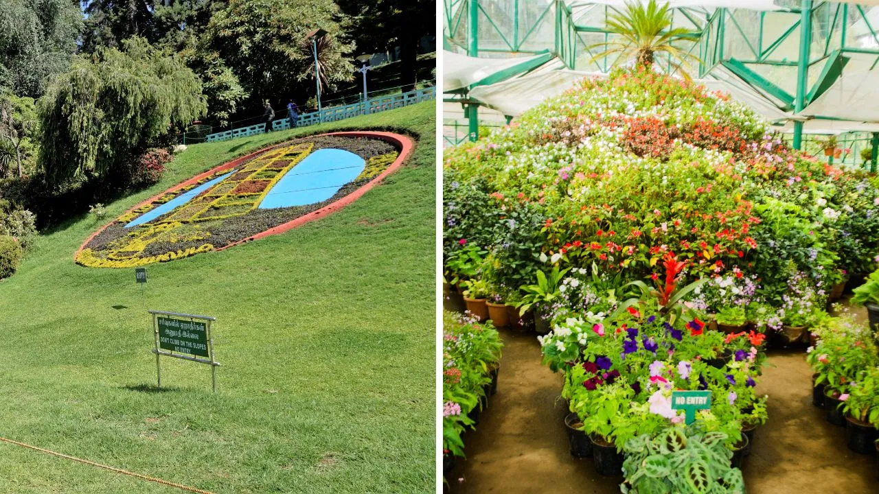 Ooty 3-Day Family Package